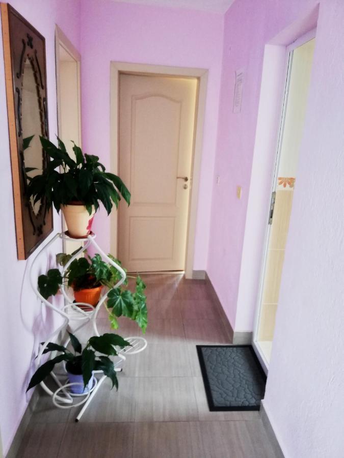 Къща За Гости Стойнови Paweł Banja Zewnętrze zdjęcie