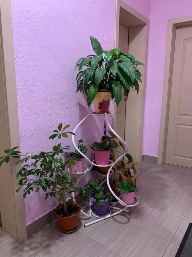 Къща За Гости Стойнови Paweł Banja Zewnętrze zdjęcie